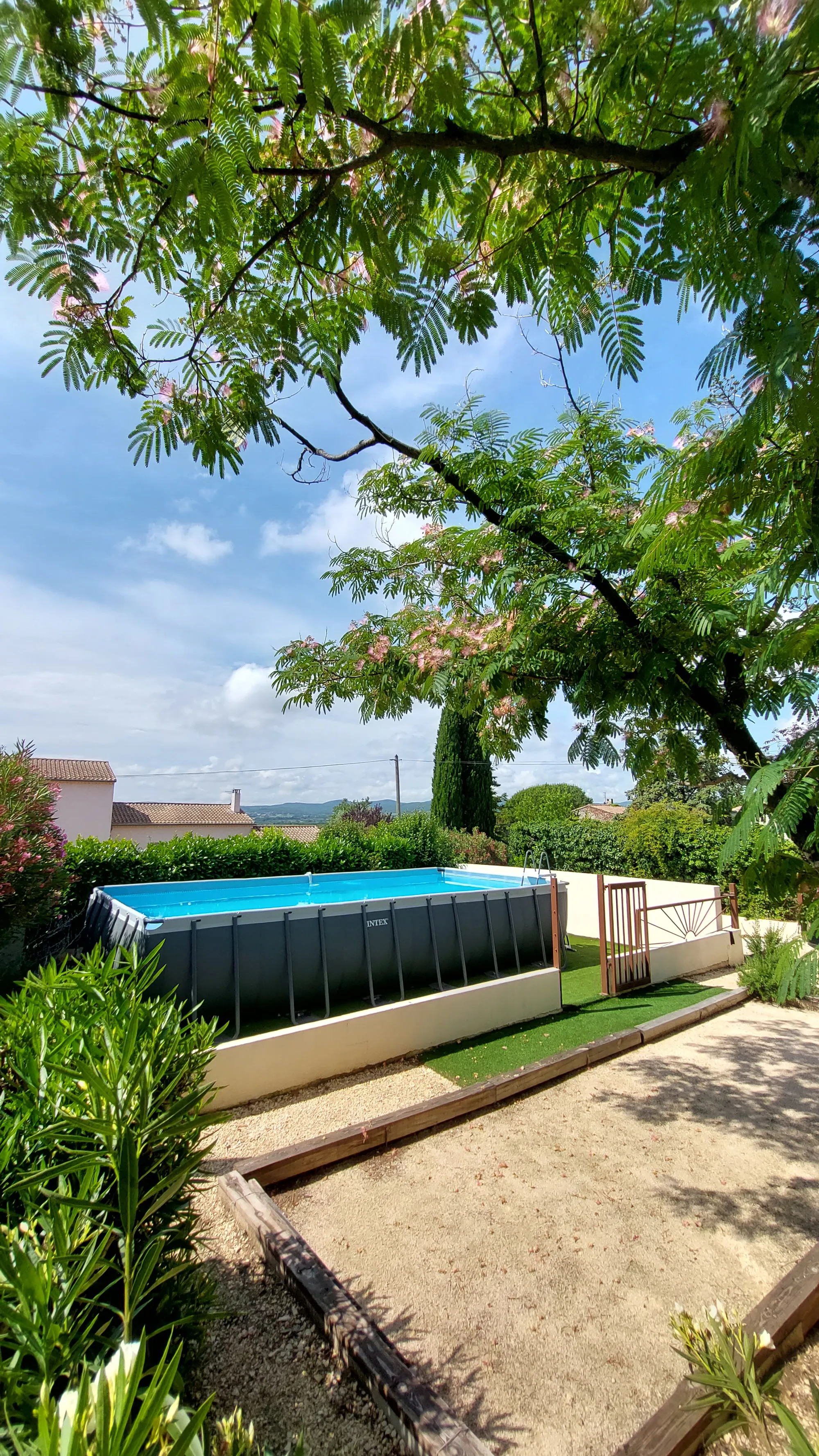 La piscine hors-sol vue depuis le terrain de pétanque, sous les branches de l'albizia en fleur