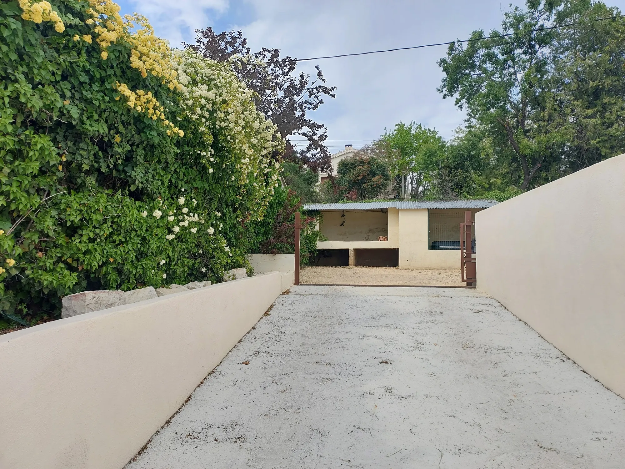 L'allée du stationnement, entre deux murs crépis et un massif de rosiers fleuris, avec le portail au fond