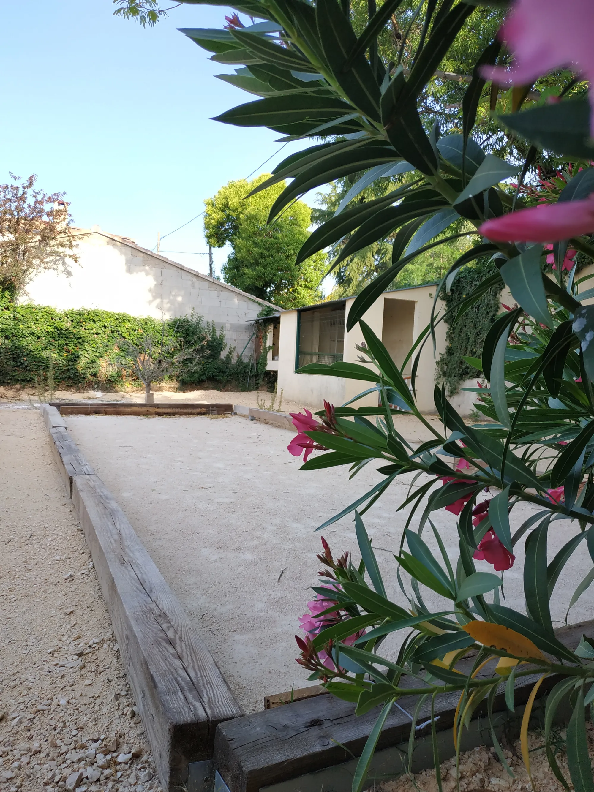 Le terrain de pétanque en gravier, bordé de traverses en bois et de lauriers-roses
