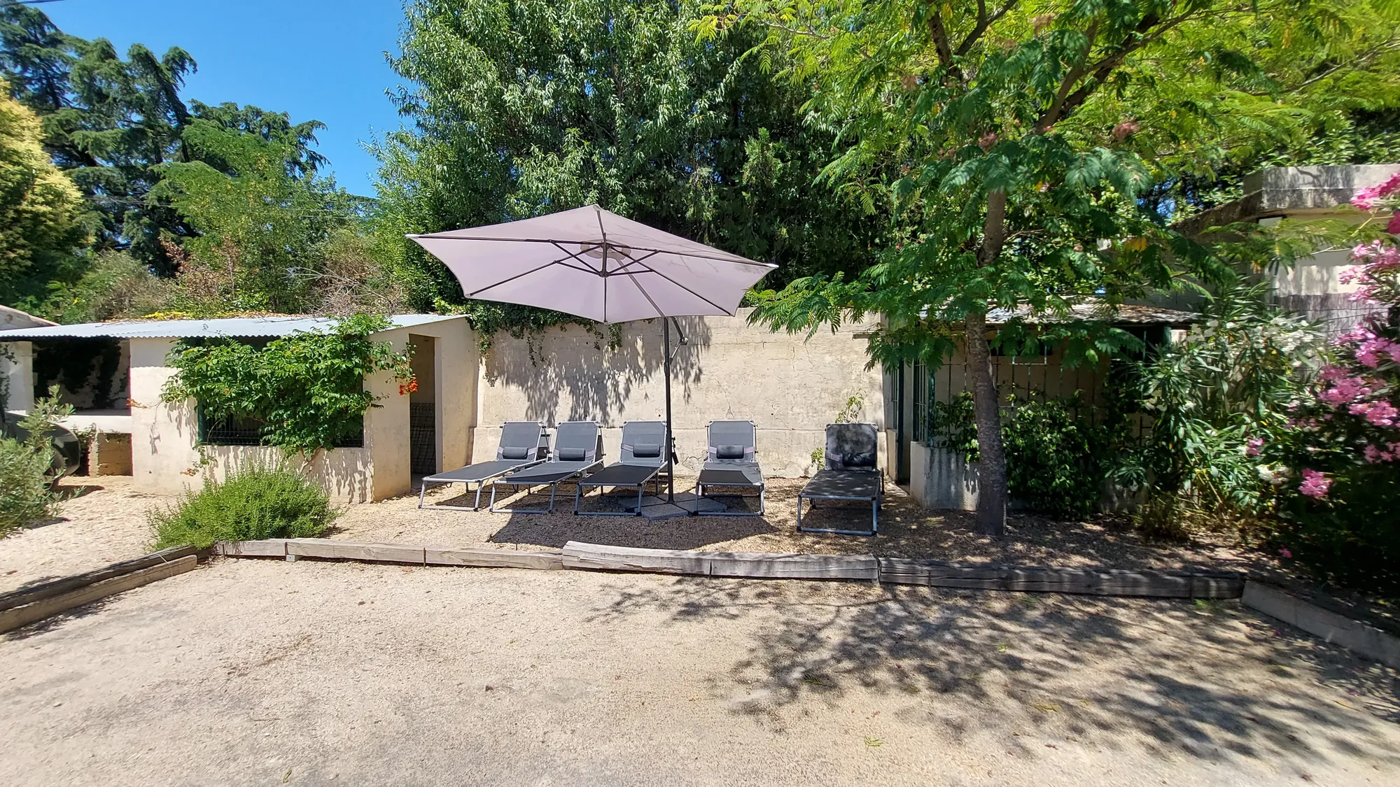 Cinq transats alignés sous un grand parasol, à l'ombre d'un arbre